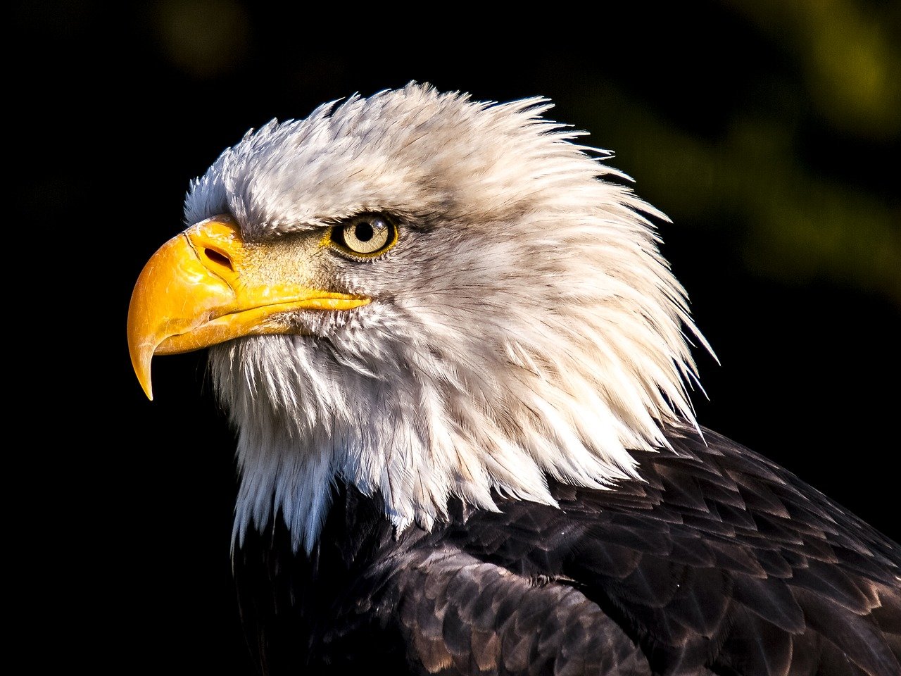 "WOW"-Erlebnis Blog Customer Excellence Sara Zehnder